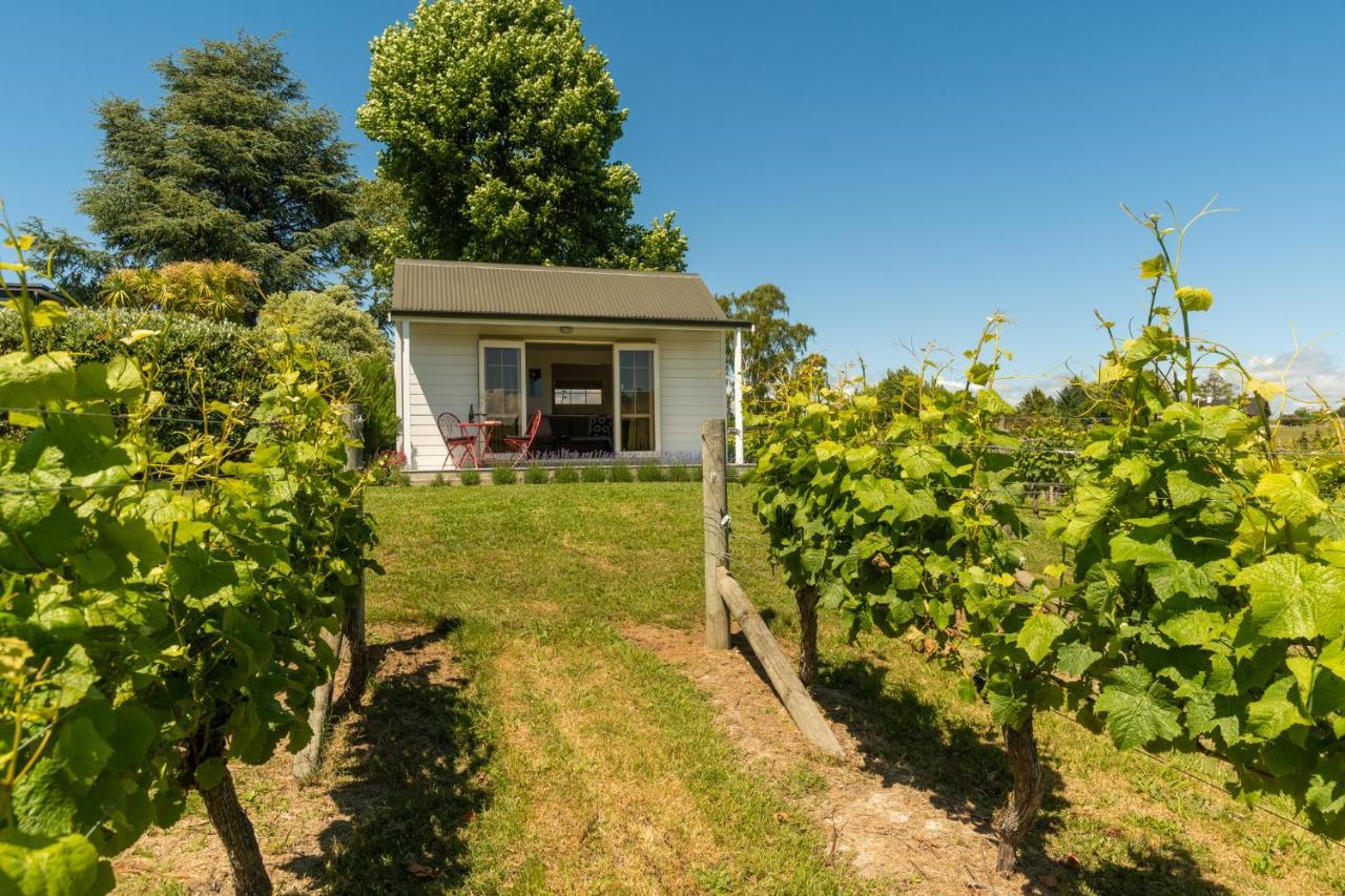 Kina Beach Cottages Tasman Kültér fotó